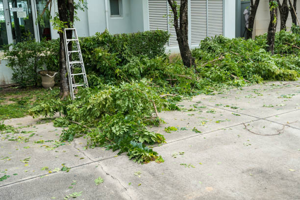 Best Seasonal Cleanup (Spring/Fall)  in Altoona, WI