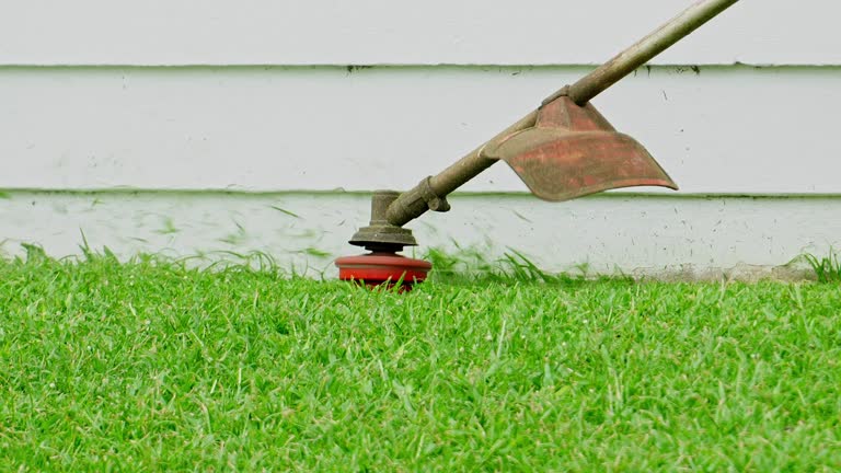 Best Lawn Irrigation Installation and Maintenance  in Altoona, WI