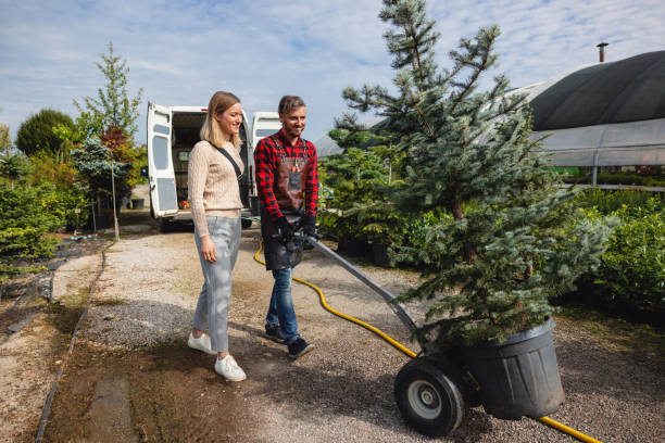 Best Utility Line Clearance  in Altoona, WI